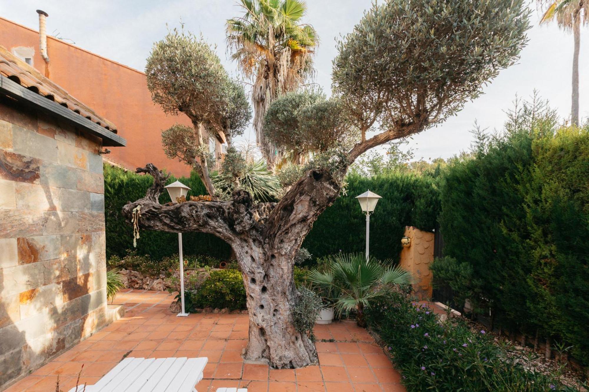Chalet, Villa Rodeada De Naturaleza Piscina A Doce Klm De Valencia Y 7 Del Aeropuerto 외부 사진